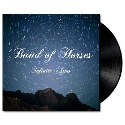 INFINITE ARMS VINYL