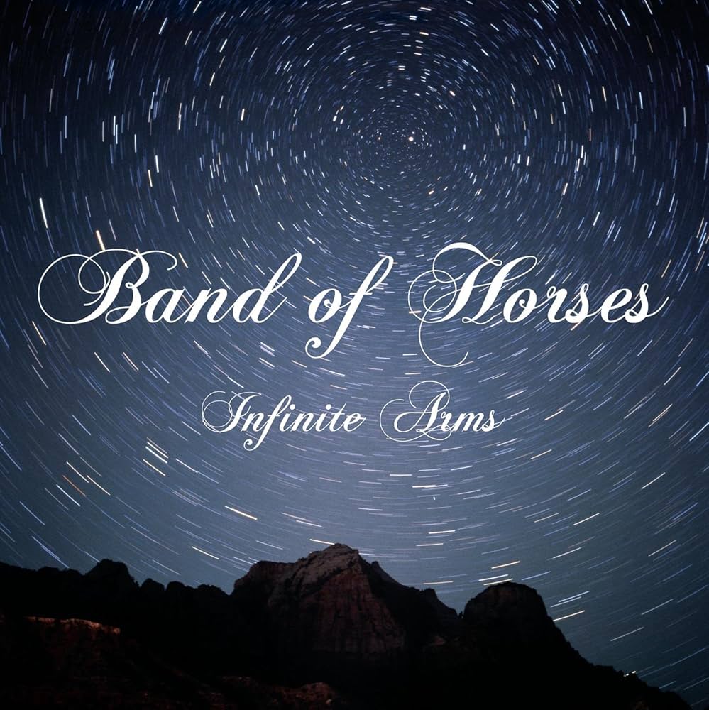 INFINITE ARMS VINYL