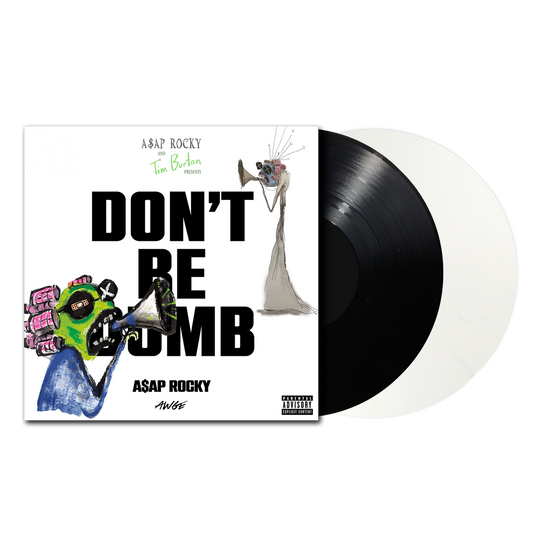 DON’T BE DUMB 2LP VINYL